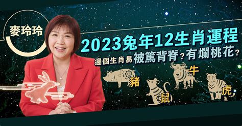 麥玲玲2023|【2023兔年運程】麥玲玲2023年兔年九宮飛星圖：擺放年花、地。